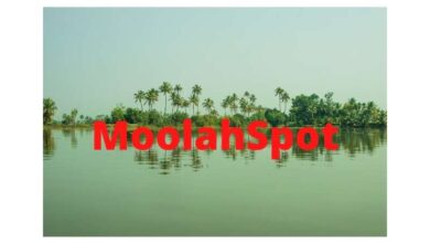 Moolahspot Scholarship