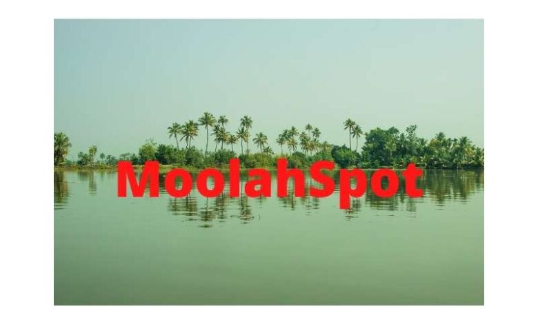 Moolahspot Scholarship