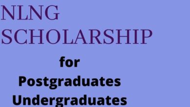 nlng scholarship program